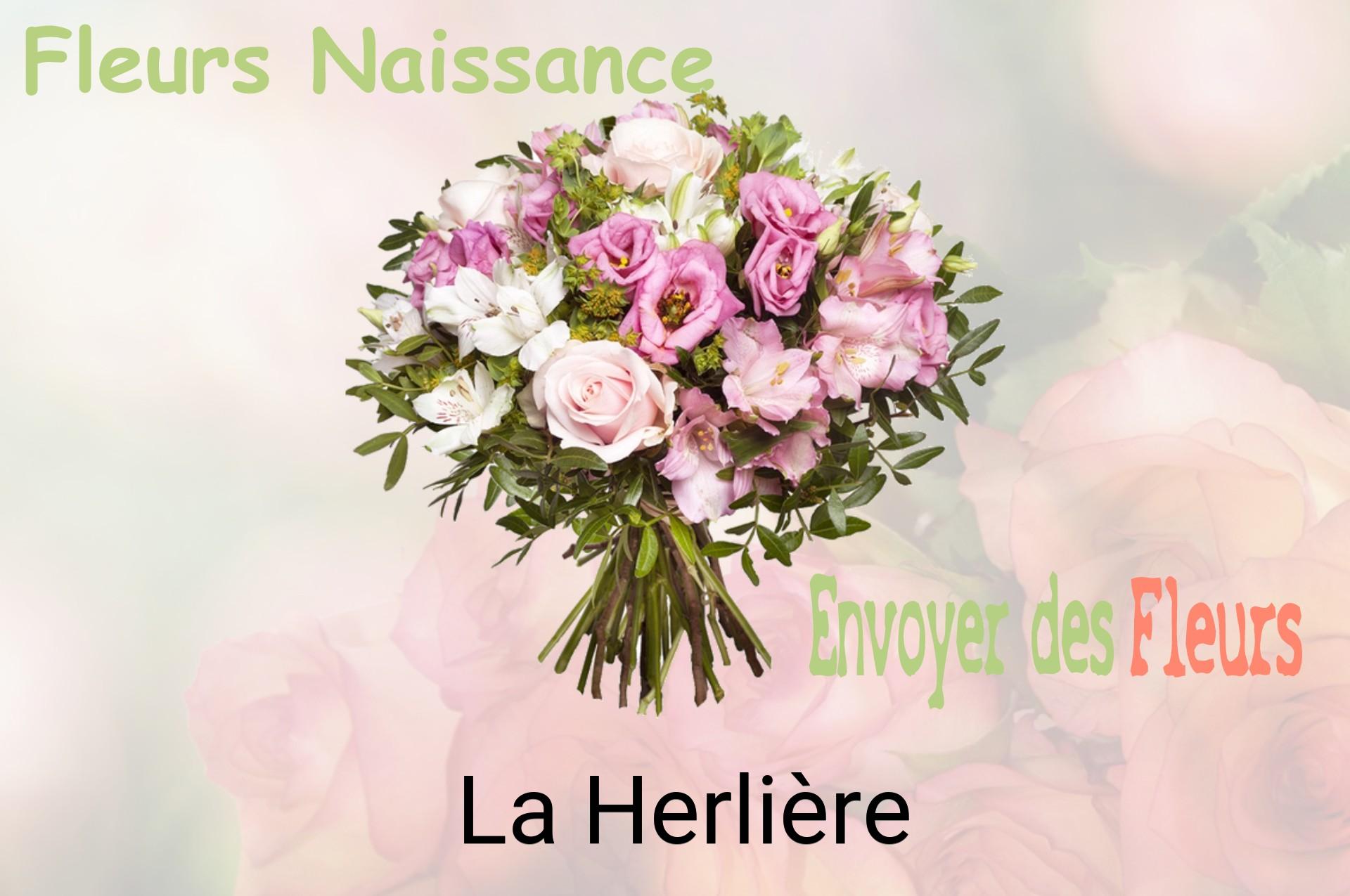 Bouquet de fleurs de naissance livré à La Herlière